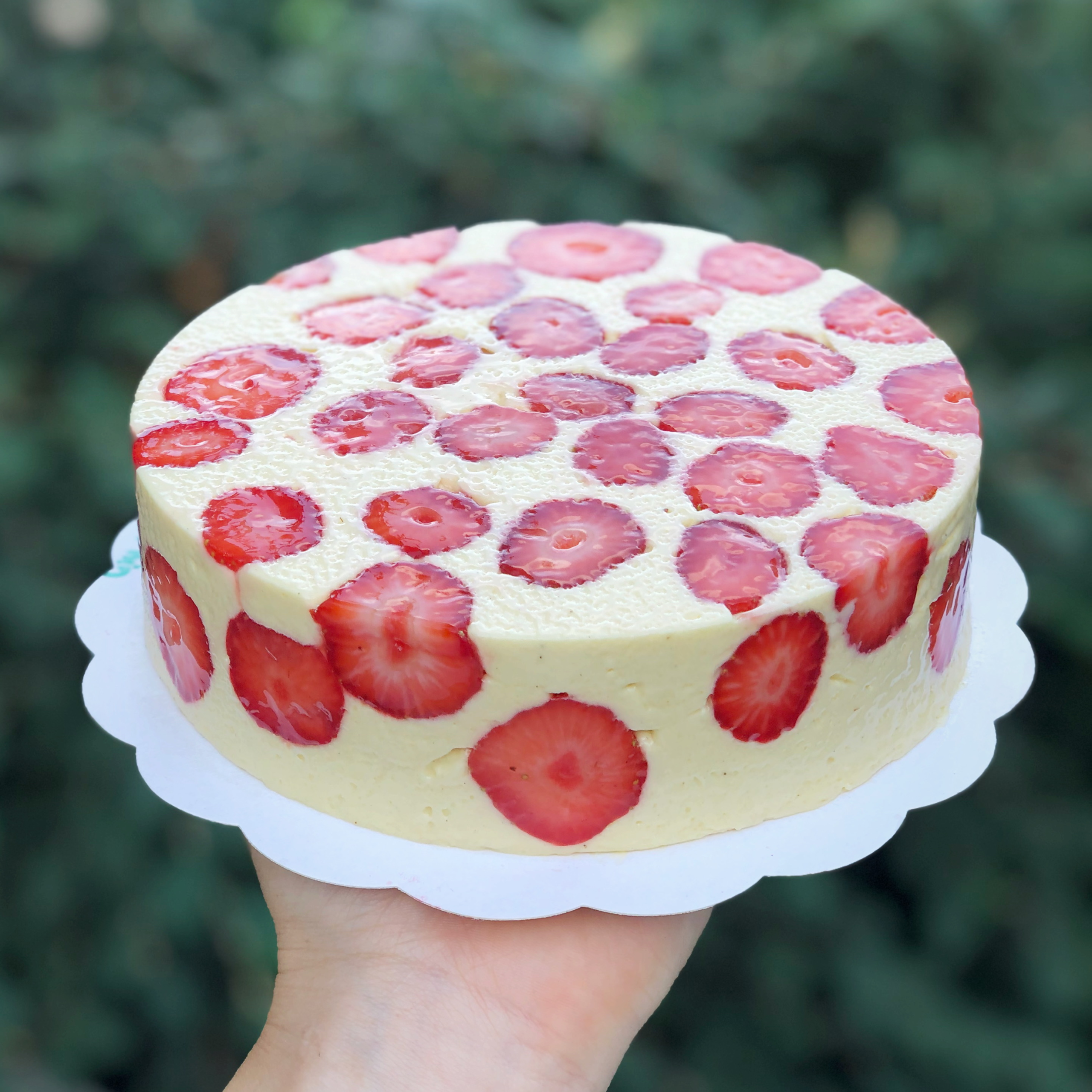 Strawberry Fraisier Cake with strawberries outside the cake.